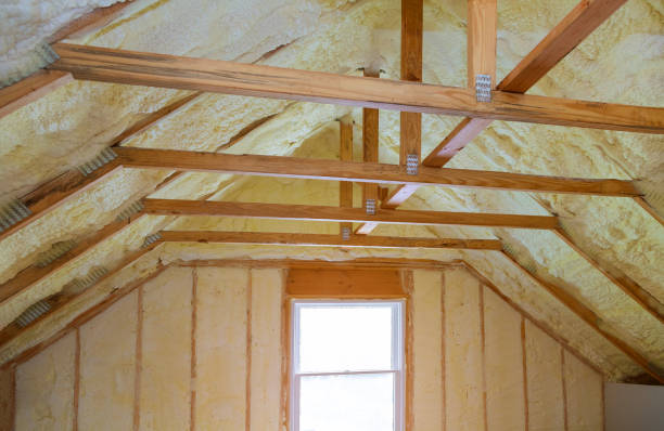 Best Cellulose Insulation in USA